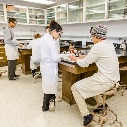 Group of students 工作ing in a lab